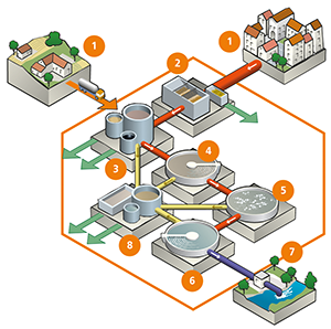 Steps of a Wastewater Treatment Plant